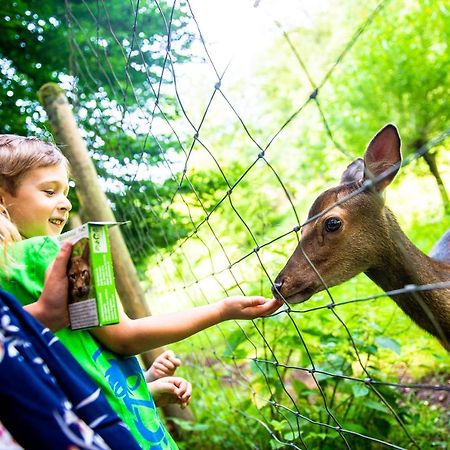 Ferienwohnung Warstein Zewnętrze zdjęcie