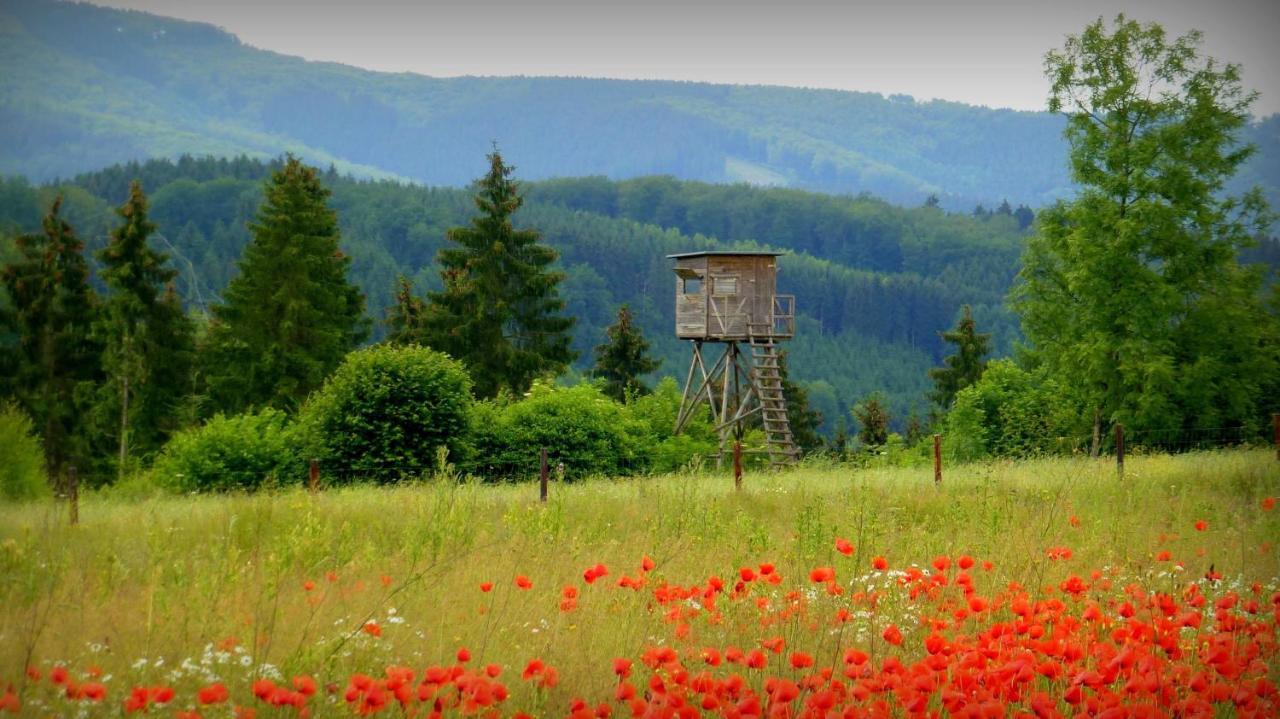 Ferienwohnung Warstein Zewnętrze zdjęcie